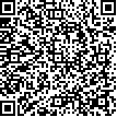 QR Kode der Firma Alice Pljonkina