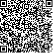 Company's QR code Struzinsky Pavel