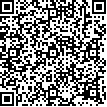 Company's QR code Denis Bubelini