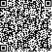 QR Kode der Firma Ilona Hlistova