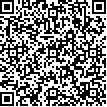 Company's QR code David Kourimsky