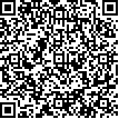 Código QR de la empresa BK Team Consulting, a.s.