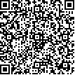 Company's QR code Edita Prachniarova - Codex EM Team