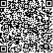 Company's QR code Ida Remenikova Lira-ART