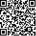 Company's QR code Rafael Semiginovsky