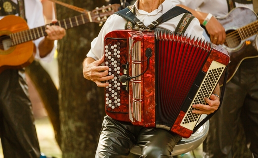 Provádím opravy a ladění akordeonů, harmonik a heligonek